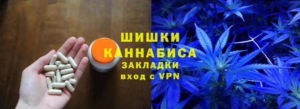 спайс Алексин