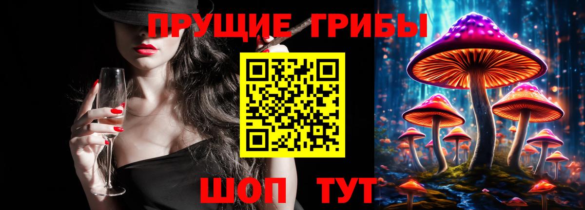 Псилоцибиновые грибы Psilocybe Гуково