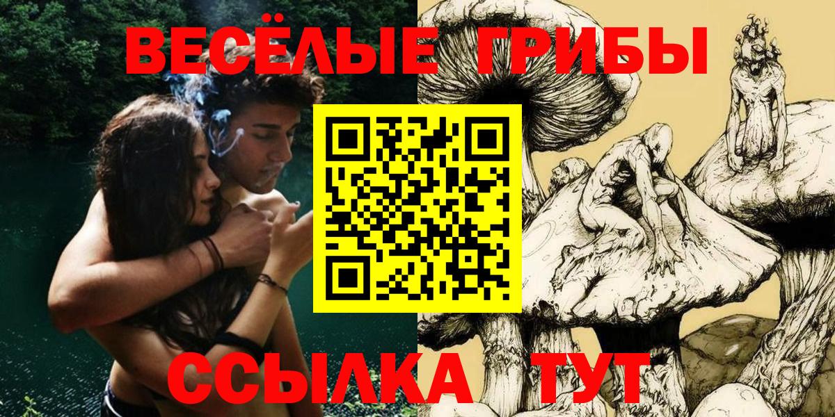 Галлюциногенные грибы мицелий  Вход с VPN  Гуково  Псилоцибиновые грибы Psilocybine cubensis 